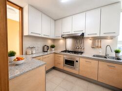 Ris Grandeur (D18), Condominium #618928551